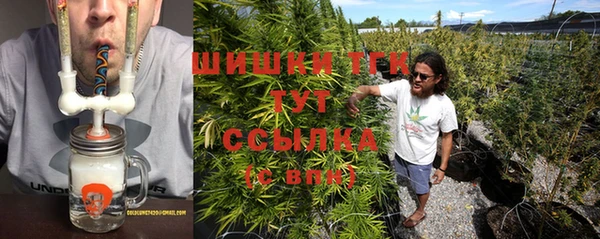 прущие грибы Богородицк