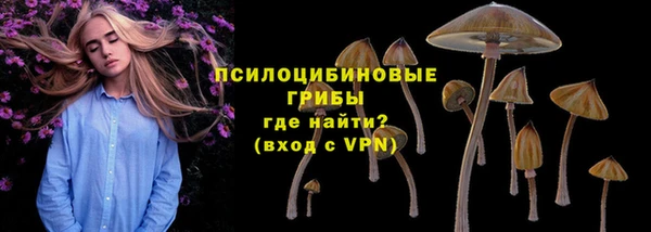 крисы Богородск