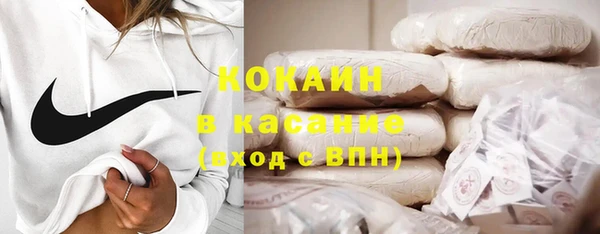 крисы Богородск