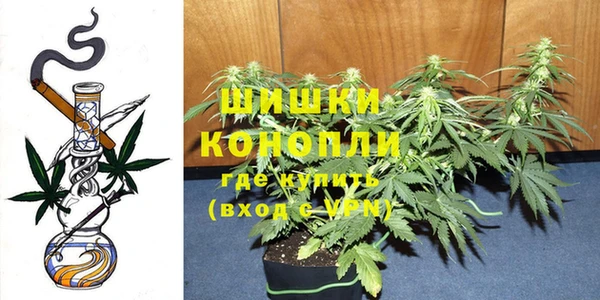 прущие грибы Богородицк