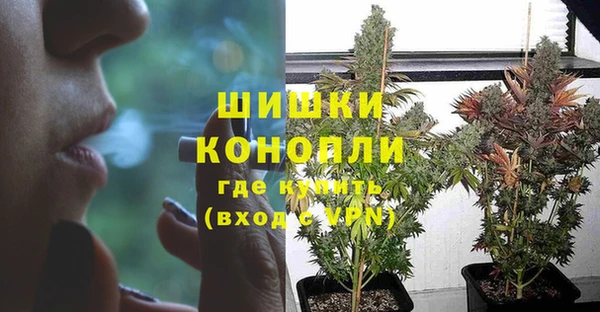 крисы Богородск