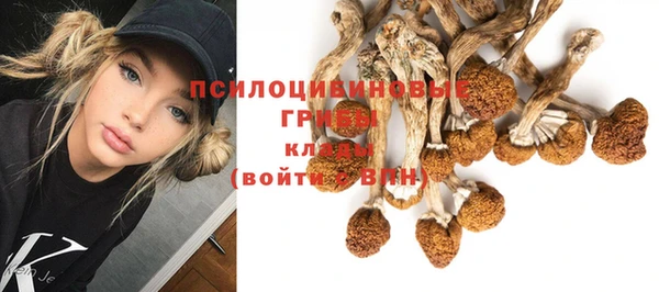 прущие грибы Богородицк