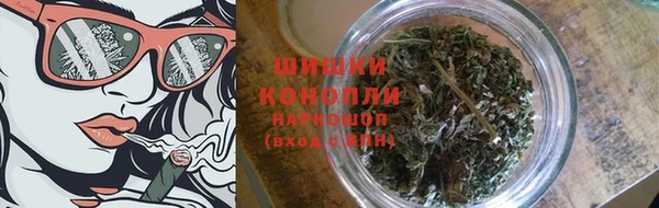 крисы Богородск