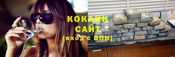 прущие грибы Богородицк