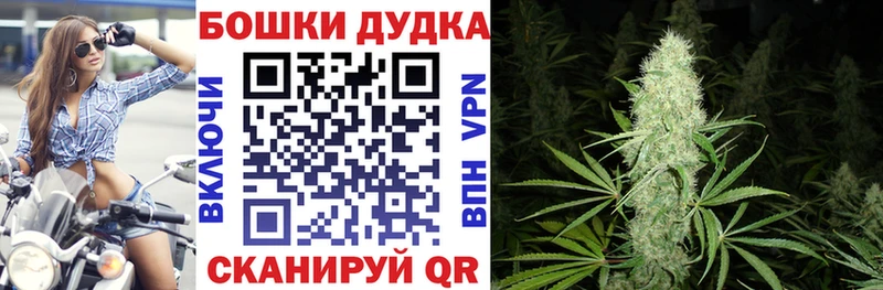 кракен ТОР  Михайловск  Канабис тримм  наркота 